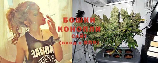молекула духа Наволоки