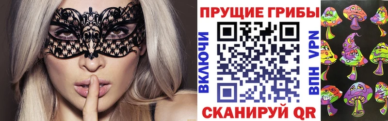 Псилоцибиновые грибы Psilocybine cubensis  Зима 